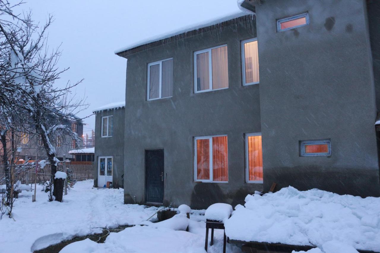 Inga Jafaridze Guesthouse Pele Mestia Eksteriør billede